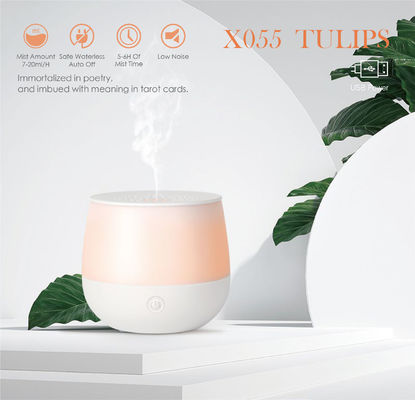 Delko Ultraschall Aroma Diffuser - Stellen Sie sich ein ätherisches Öl wiederaufladbarer Diffuser 80 ml in Iris fournisseur