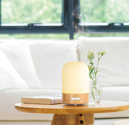 Delko Ultraschall Aroma Diffusor - Stellen Sie sich ein ätherisches Öl wiederaufladbarer Diffusor 100 ml in Iris fournisseur
